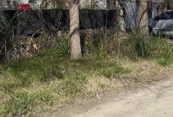 Terrenos en  Manuel B Gonnet, Partido De La Plata