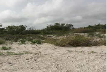 Lote de Terreno en  97405, Dzemul, Yucatán, Mex