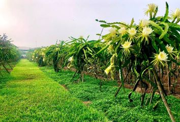 Terreno en  Huaral Distrito, Huaral