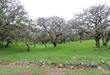 Lote de Terreno en  Mazatitlán, Tepatitlán De Morelos, Jalisco, Mex