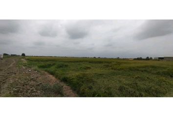 Terreno Comercial en  Tarifa, Samborondón