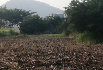 Lote de Terreno en  Carretera Zihuatanejo - La Mira, Zihuatanejo De Azueta, Guerrero, 40881, Mex