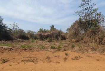 Lote de Terreno en  Carretera Troncones-majahua, Troncones, La Unión De Isidoro Montes De Oca, Guerrero, 40807, Mex