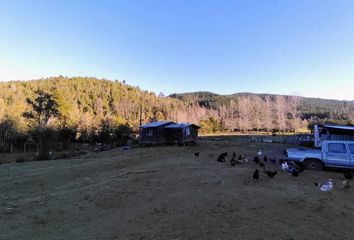 Parcela en  Los Lagos, Valdivia