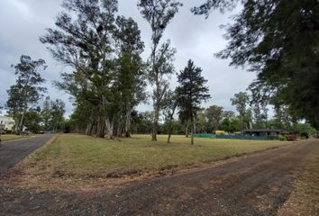 Terrenos en  Arturo Seguí, Partido De La Plata