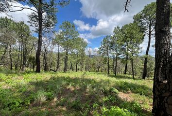 Lote de Terreno en  Colonia Mazamitla, Mazamitla