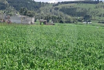 Lote de Terreno en  5 De Mayo, Toluca De Lerdo