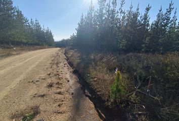 Parcela en  Pichilemu, Cardenal Caro