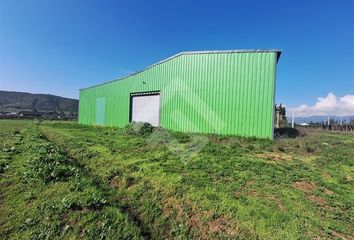 Bodega en  El Monte, Talagante