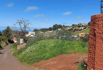 Chalet en  Valleseco, Palmas (las)