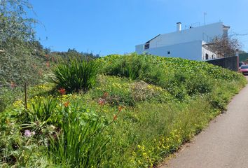 Chalet en  Valleseco, Palmas (las)