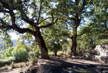 Terreno en  Montejaque, Málaga Provincia