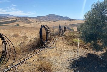 Terreno en  Alora, Málaga Provincia