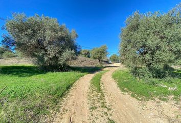 Terreno en  Alora, Málaga Provincia