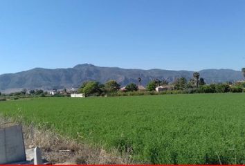 Terreno en  Los Dolores, Murcia Provincia