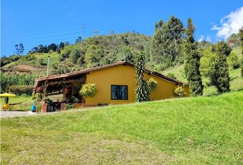 Villa-Quinta en  San Carlos, Antioquía