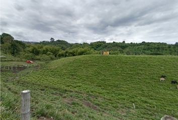 Lote de Terreno en  Quimbaya, Quindío