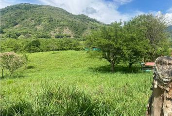 Lote de Terreno en  Venecia, Antioquia