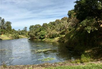 Lote de Terreno en  La Ceja, Antioquia