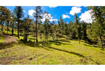 Lote de Terreno en  El Carmen De Viboral, Antioquia