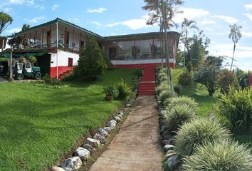 Villa-Quinta en  Sevilla, Valle Del Cauca