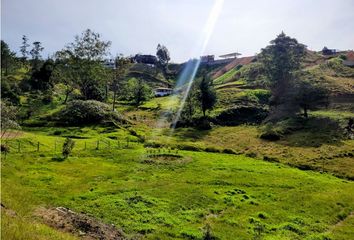 Lote de Terreno en  San Vicente, Antioquia