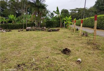 Lote de Terreno en  Sector Centro, Armenia