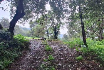 Lote de Terreno en  Carretera Toluca-valle De Bravo, San Gaspar, Valle De Bravo, México, 51208, Mex