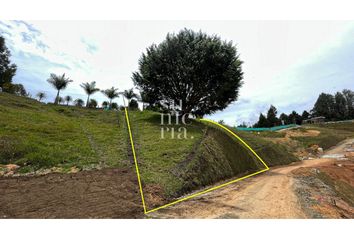 Lote de Terreno en  Guarne, Antioquia