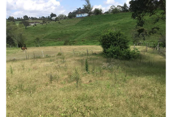 Lote de Terreno en  El Carmen De Viboral, Antioquia