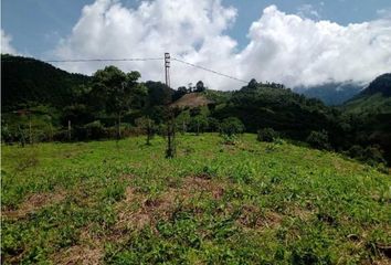 Villa-Quinta en  Arenillo, Manizales