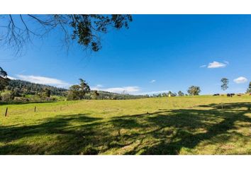 Lote de Terreno en  Rionegro Antioquía