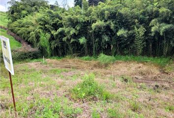 Lote de Terreno en  Caldas, Centro Norte, Santa Rosa De Cabal