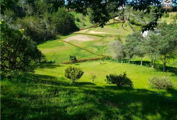 Lote de Terreno en  Ituango, Antioquia