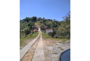 Lote de Terreno en  Palermo, Manizales