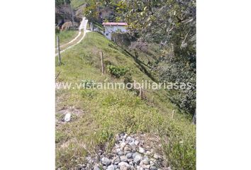 Lote de Terreno en  Palermo, Manizales