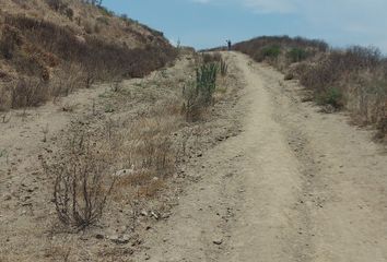 Lote de Terreno en  Calle De Las Palmas, Playas Rosarito, Hotel, Playas De Rosarito, Baja California, 22700, Mex