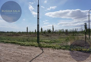 Terrenos en  Quintas De Sara, Río Negro