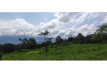 Lote de Terreno en  Anatolí, La Mesa