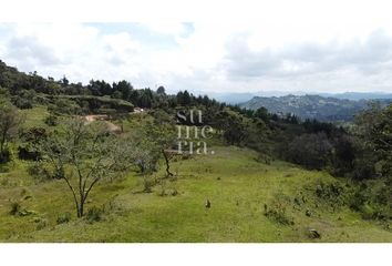 Lote de Terreno en  Rionegro Antioquía