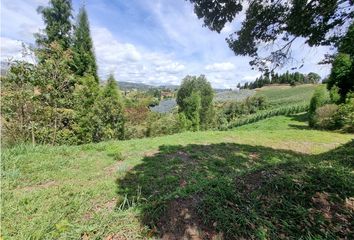 Lote de Terreno en  Guarne, Antioquia