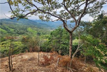 Lote de Terreno en  Cuarto De Legua, Cali