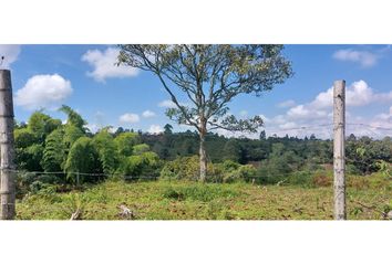 Lote de Terreno en  Cajibío, Cauca