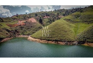 Lote de Terreno en  El Peñol, Antioquia