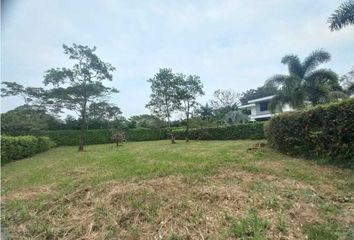 Lote de Terreno en  Centro Norte, Norte, Villavicencio