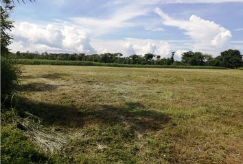 Lote de Terreno en  La Castellana, Montería