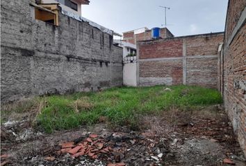 Lote de Terreno en  Poblado De Lourdes, Palmira