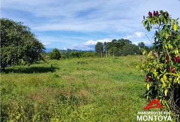 Lote de Terreno en  Alcalá, Valle Del Cauca