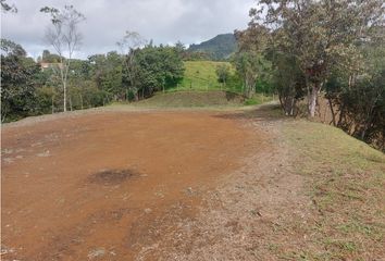 Lote de Terreno en  Rionegro Antioquía