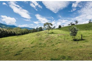 Lote de Terreno en  El Carmen De Viboral, Antioquia